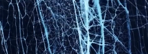 Ice formations from the World's Coldest Ultramarathon